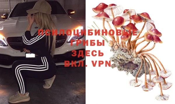 СК Армянск