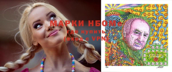 спайс Арсеньев