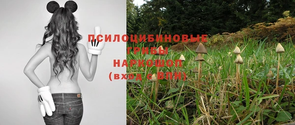 спайс Арсеньев
