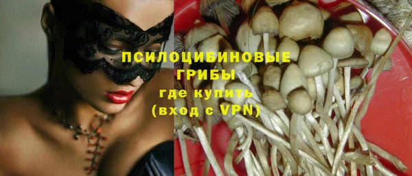 спайс Арсеньев